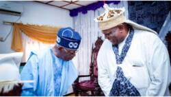 Last royal blessing before APC presidential primary? Tinubu meets powerful Nigerian monarch