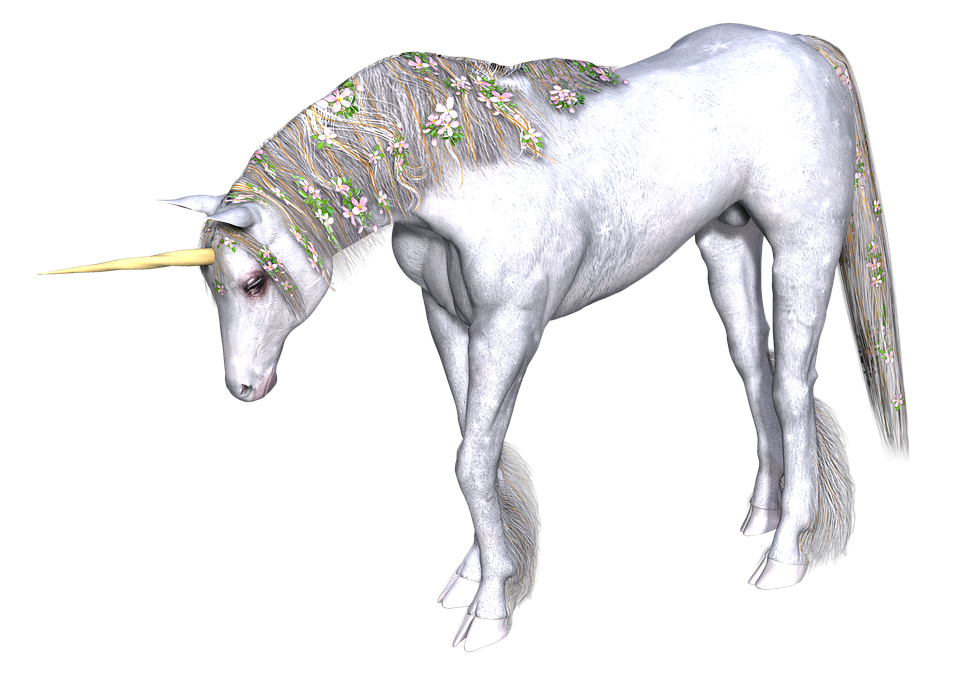 100+ unicorn names with meanings from movies and popular culture 100+ unicorn names with meanings from movies and popular culture