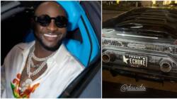 "Their daddy is back": Davido allegedly splurges millions on Lamborghini with 'e choke' number plate