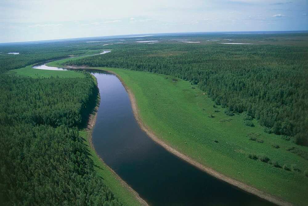 Longest river in Europe