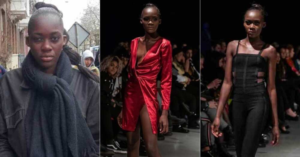 Ghanaian model 'runs away' after arriving in Paris for an event (photos, screenshots)