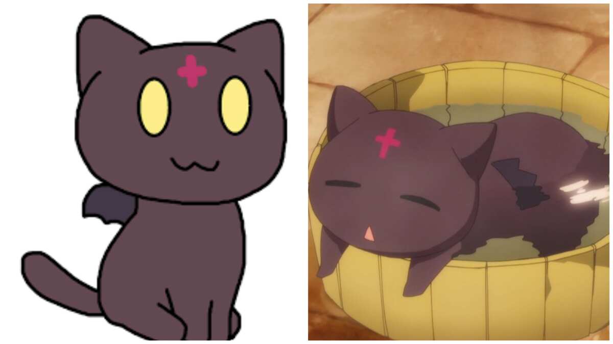Cute anime girl WIth her Black Cat - Anass Benktitou - Drawings &  Illustration, People & Figures, Animation, Anime, & Comics, Anime - ArtPal