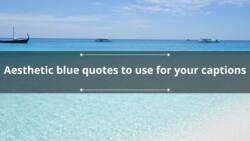 70+ aesthetic blue quotes to use for your captions