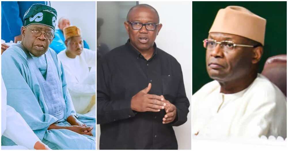 tribunal update/tribunal update today/peter obi/peter obi news/tinubu news