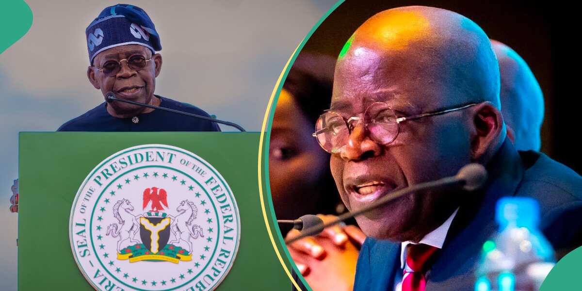 1-Year-in-Office: Tinubu To Resume N-Power, Other Conditional Cash ...