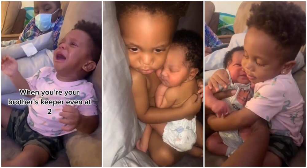Boy cuddles his kid brother passionately. Boy cuddles his kid brother passionately.