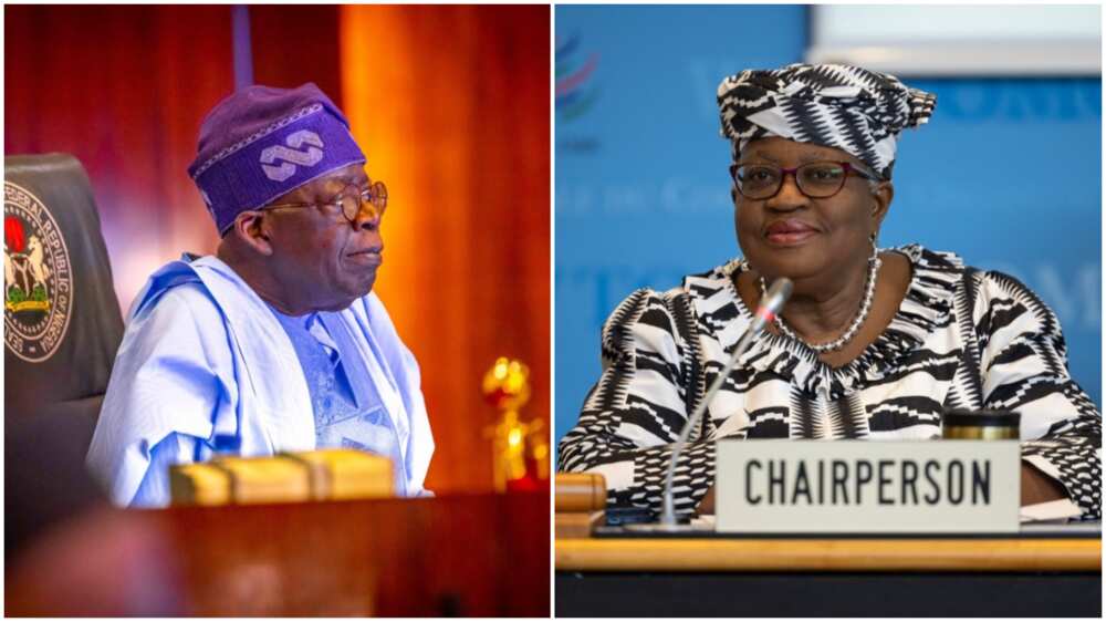 President Bola Tinubu/Ngozi Okonjo-Iweala/Presidency President Bola Tinubu/Ngozi Okonjo-Iweala/Presidency