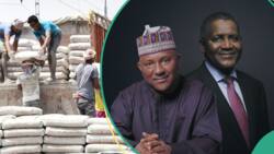 Reps issue ultimatum to Dangote, BUA, other cement manufacturers on new prices