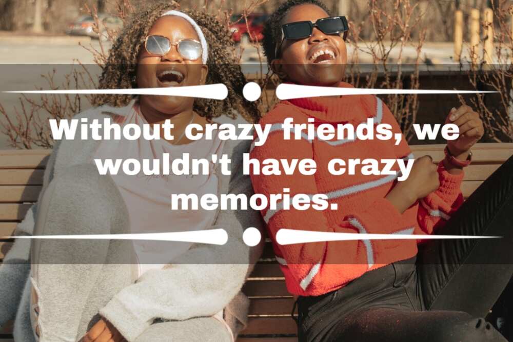 insane friends quotes