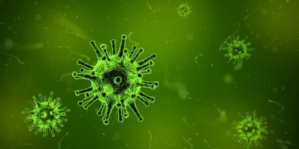 Coronavirus in Nigeria Coronavirus in Nigeria