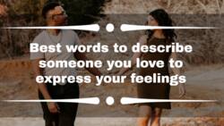 Best words to describe someone you love to express your feelings
