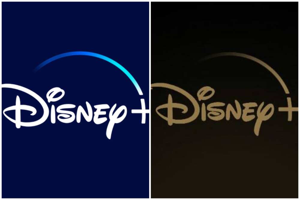how to cancel disney plus how to cancel disney plus