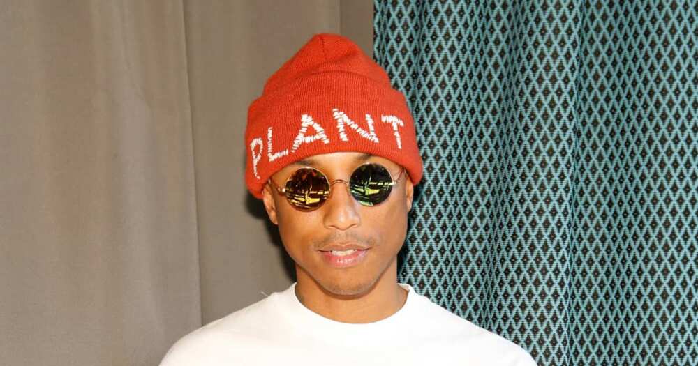 Pharrell Williams, private schools, Virginia, Yellowhab