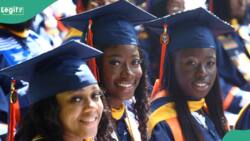 Full list: UI, Babcock, Covenant… top 15 universities with most employable graduates in Nigeria