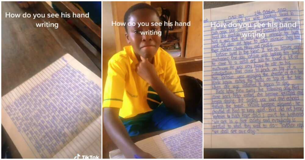 Fine handwriting, computer font, primary 6, boy with fine handwriting goes viral