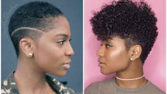 Trendy braids for short natural hair to rock in 2018 - Legit.ng