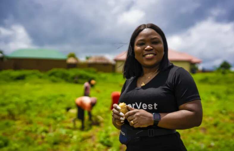 Interview with Solape Akinpelu, Co-founder/CEO of HerVest