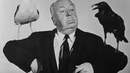 Les Oiseaux d'Hitchcock : l'histoire vraie derrière le chef d’œuvre