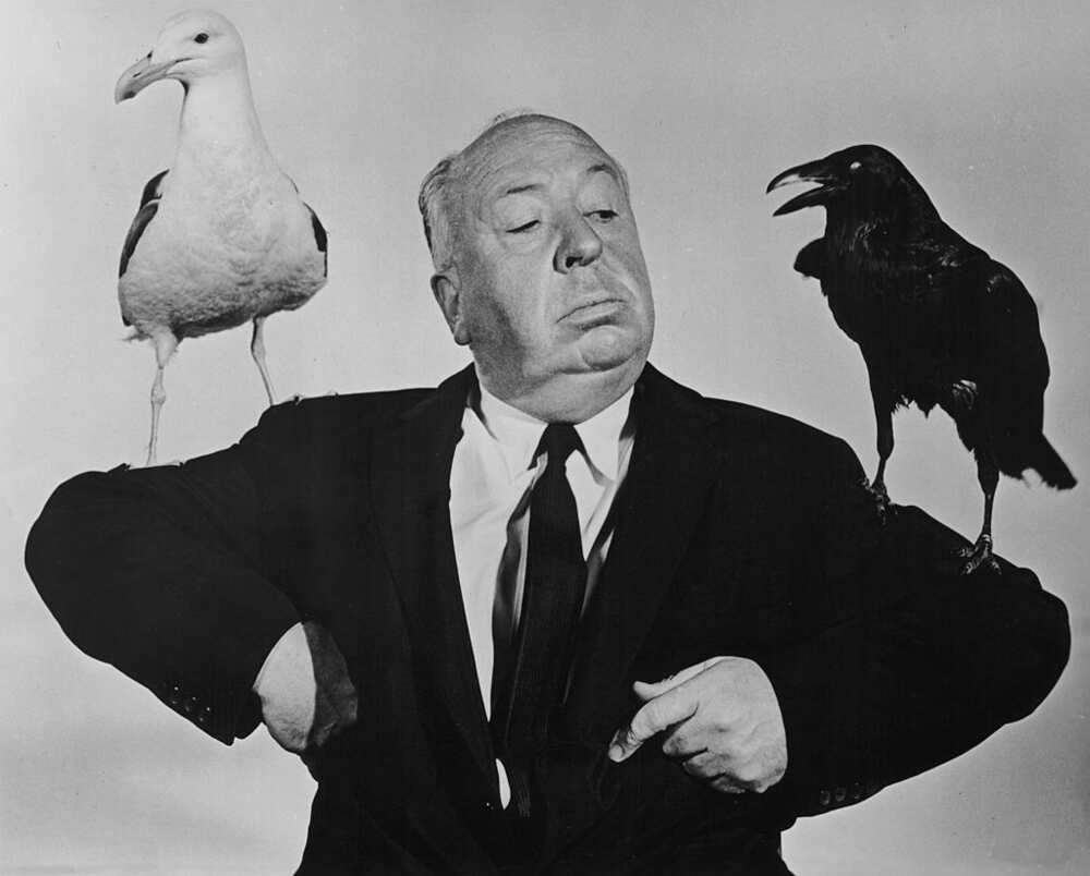 Alfred Hitchcock, le maître des films d'humour noir