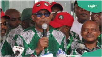 "Why we associate with Labour Party": NLC opens up on alliance with Peter Obi