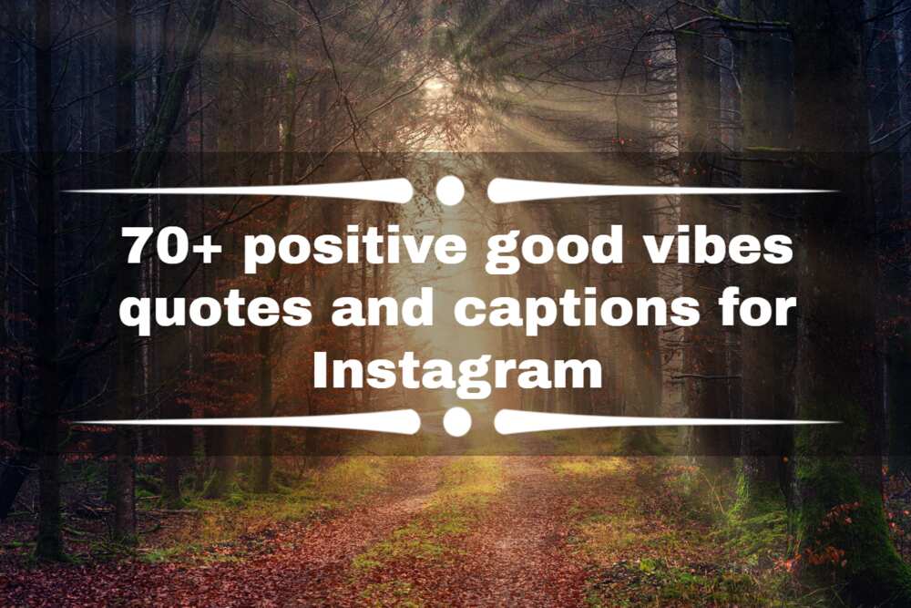 70+ positive good vibes quotes and captions for Instagram 