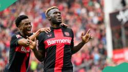 Super Eagles star, Boniface reacts as he makes history, becomes third Nigerian to win Bundesliga