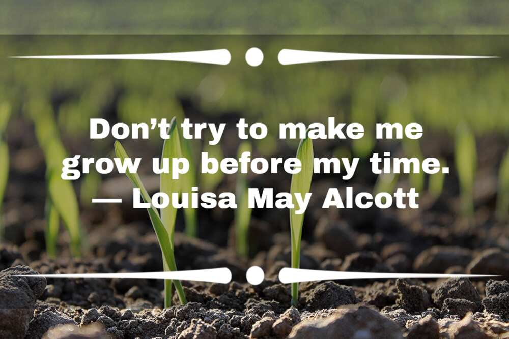 Quotes about never growing up Quotes about never growing up