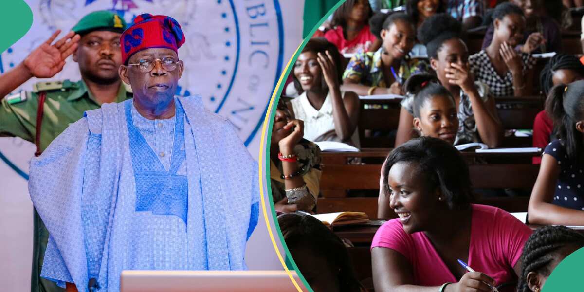 Major reaction surfaces as Tinubu's govt's student loan programme finally opens