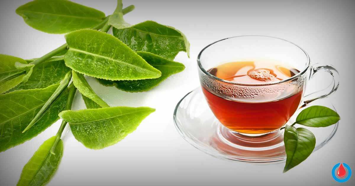 Guava leaf tea benefits and side effects you should know about Legit.ng