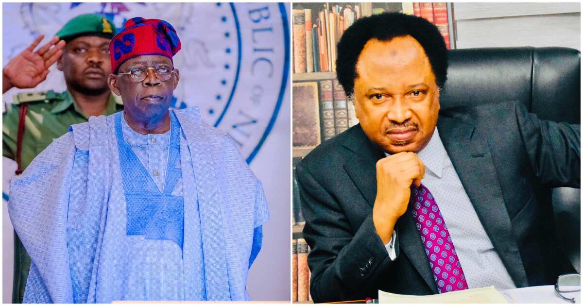 Shehu Sani makes interesting prediction on Atiku, Obi's petitions against Tinubu's election victory