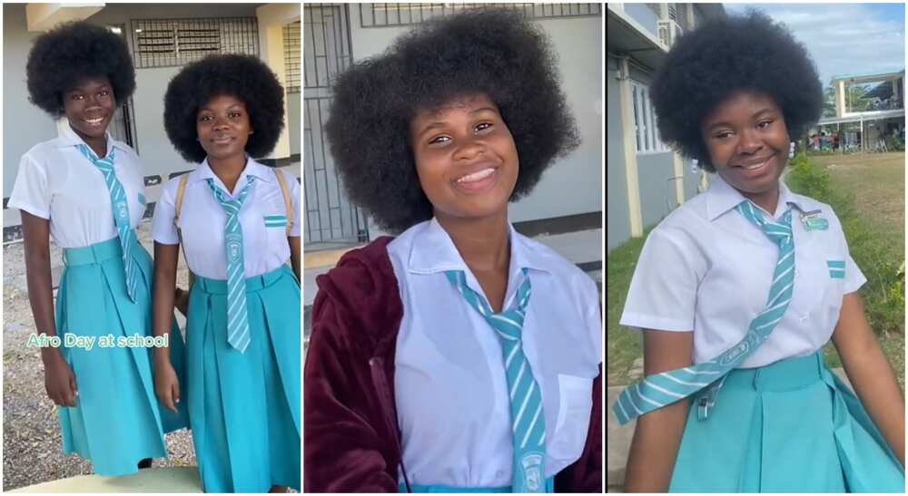 Photos of secondary school girls with dark afro hair.