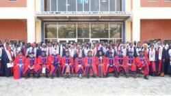 Good news as 13 escaped Chibok girls get admission into top Nigerian University