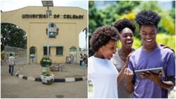 Sexual harassment: Law students make 3 demands from UNICAL
