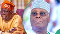 CSU certificate battle: Tinubu files fresh appeal against Atiku in US court