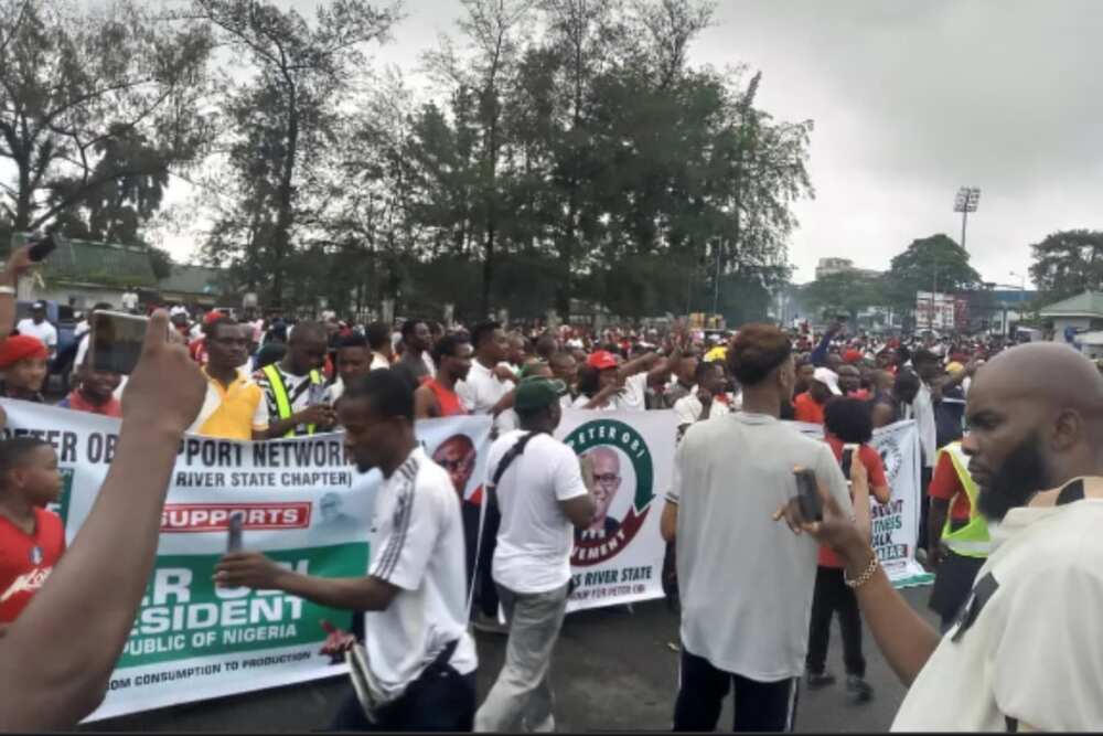 Peter Obi's supporters accused of being divisive