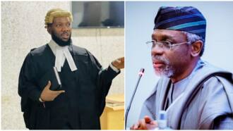 Gbajabiamila's appointment as Tinubu’s Chief of Staff unconstitutional, prominent lawyer makes revelations