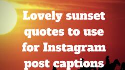 Beautiful sunset quotes worth sharing on social media