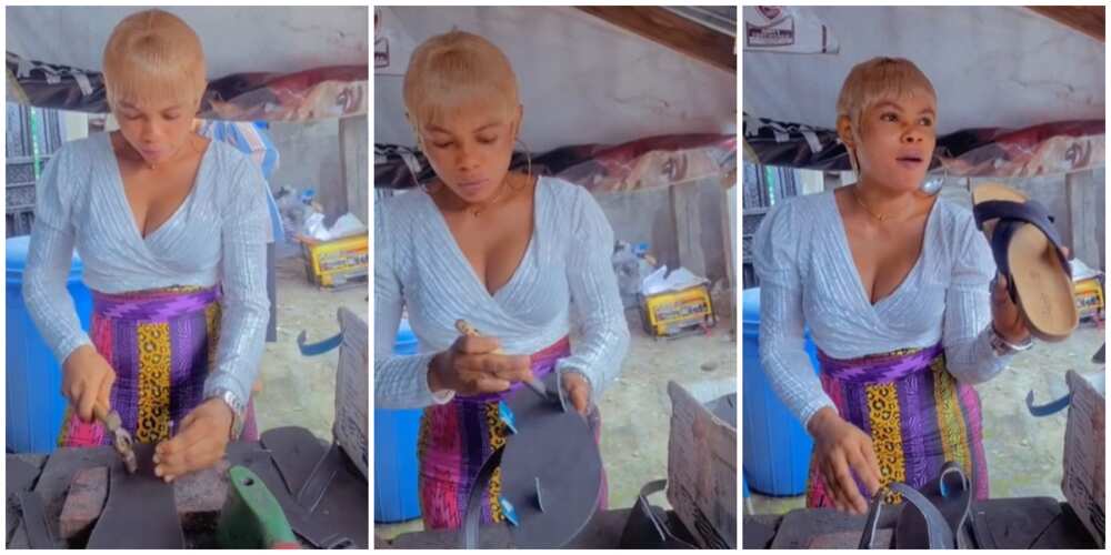 Female cobbler Female cobbler