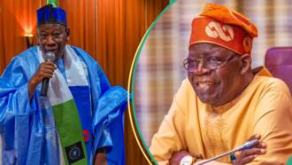 Presidency allegedly declares Ganduje’s seat vacant, begins search for new APC chair