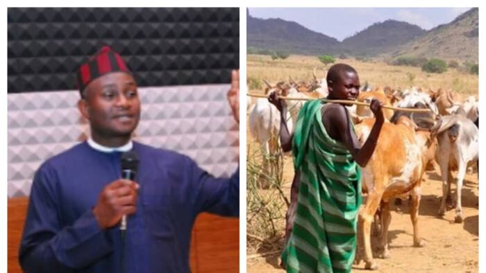 Insecurity: “A thousand cows not worth a human life”, says APC senatorial candidate