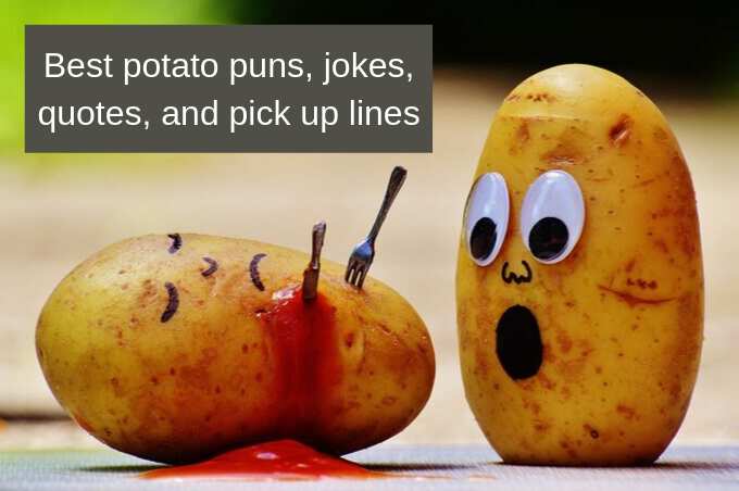 funny potato sayings