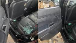 Thieves break into a car parked in front of court premises, steal money, photos emerge