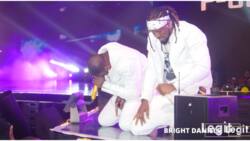We're sorry: Epic moment PSquare brothers went on their knees during concert, plead with fans to forgive them