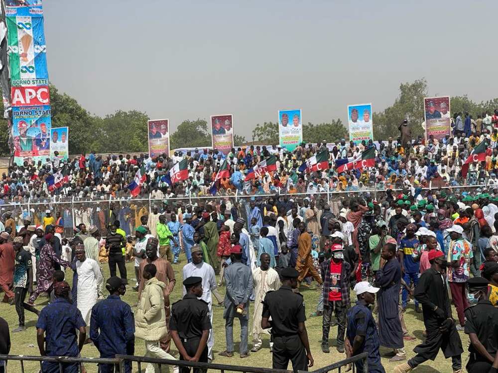 Borno Borno