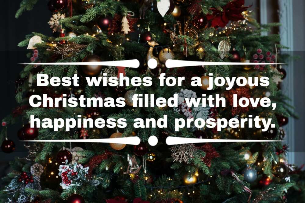 Merry Christmas SMS messages