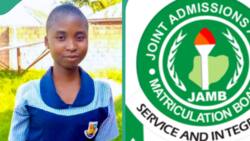 JAMB: 16-year-old girl from Benue trends over her high UTME score, people say she is the highest