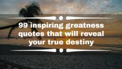 99 inspiring greatness quotes that will reveal your true destiny