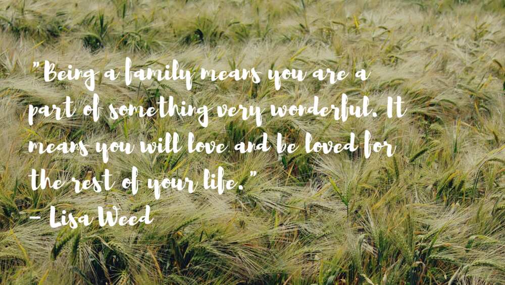Cute inspirational quotes Cute inspirational quotes