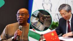 “We will renew”: CBN replies Falana on Nigeria-China currency swap deal as Naira hits N920/$ at black market