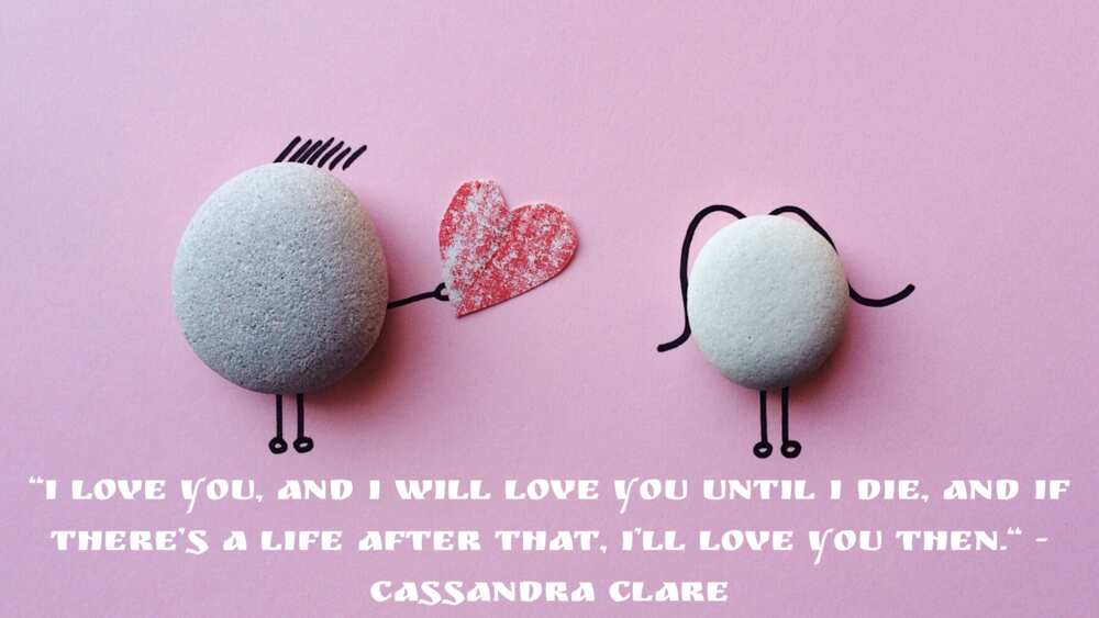 Cute relationship quotes Cute relationship quotes